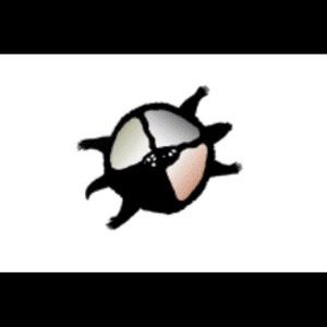 Meet your Posher, Venus